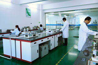 诸暨第三方仪器计量校准机构的ISO验厂报告与护理机构服务分析